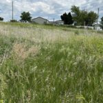 3 Large Lots For Sale