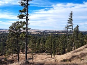 Pine Ridge HWY 385 Acreage Chadron, NE